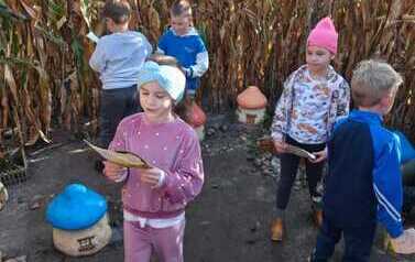 WhatsApp Image 2026-10-06 at 15.55.33.jpeg