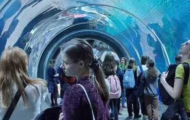WhatsApp Image 2023-04-18 at 19.27.16 (1)