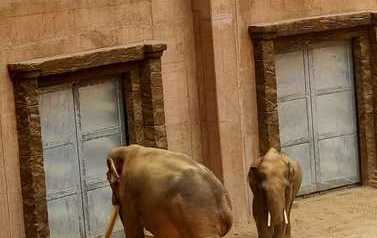WhatsApp Image 2023-04-18 at 19.29.11