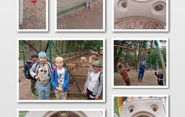 Park 3