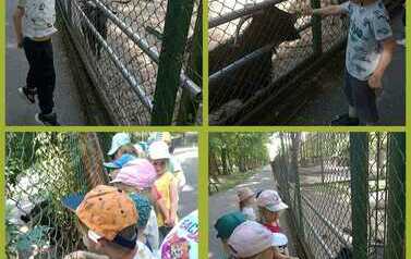 WhatsApp Image 2023-06-06 at 15.12.24