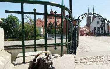WhatsApp Image 2023-06-12 at 23.17.22 (1)