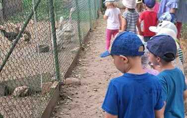 WhatsApp Image 2023-06-22 at 08.29.03 (2)