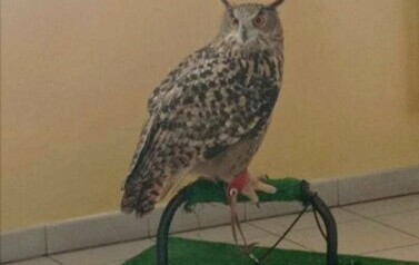 WhatsApp Image 2024-03-07 at 17.12.49 (3)
