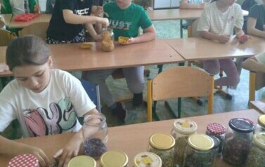 WhatsApp Image 2024-05-24 at 21.34.55 (1)