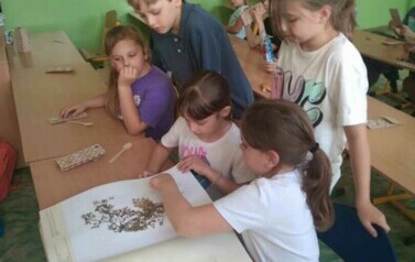 WhatsApp Image 2024-05-24 at 21.34.51