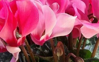 WhatsApp Image 2024-05-26 at 19.23.01 (3)