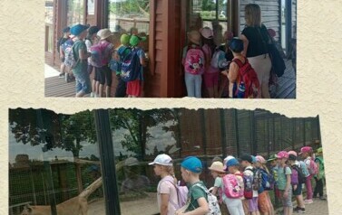 WhatsApp Image 2024-06-09 at 22.17.54 (2)