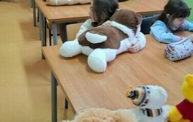 WhatsApp Image 2024-11-25 at 20.47.53