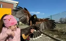 WhatsApp Image 2025-03-07 at 21.42.11