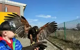 WhatsApp Image 2025-03-07 at 21.42.02