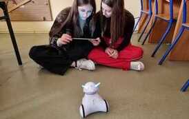 WhatsApp Image 2023-02-27 at 17.41.00