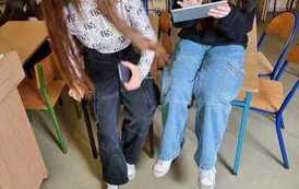 WhatsApp Image 2023-02-27 at 17.40.44