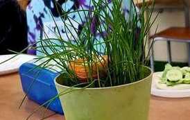 WhatsApp Image 2023-04-03 at 09.23.09 (1)