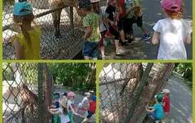 WhatsApp Image 2023-06-06 at 15.12.23