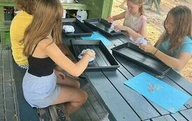 WhatsApp Image 2023-09-29 at 17.21.18 (5)