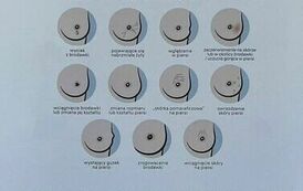 WhatsApp Image 2023-10-23 at 15.40.07 (4)