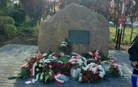 WhatsApp Image 2023-11-11 at 15.24.15 (1)